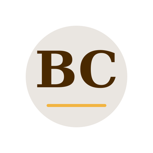 Brvin Chimney Repair logo